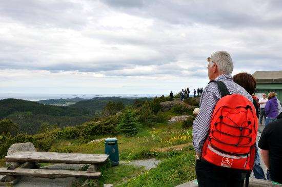 steinsfjellet
