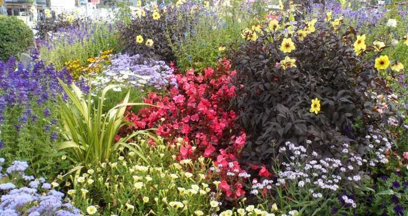 blomster