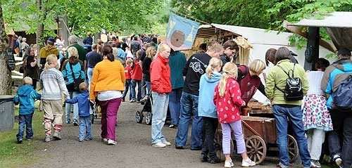 Vikingfestivalen