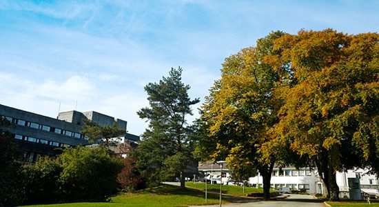 stord sykehus