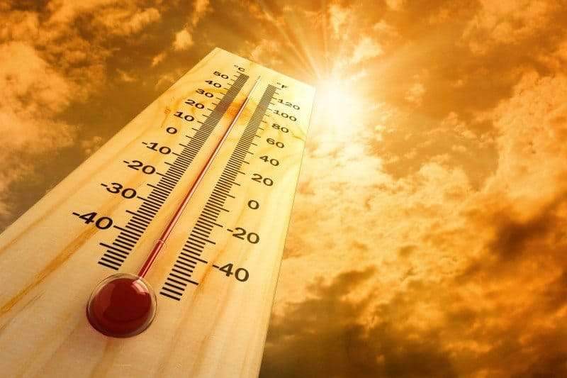 Temperatur Hete Hetebølge Varme Varmt