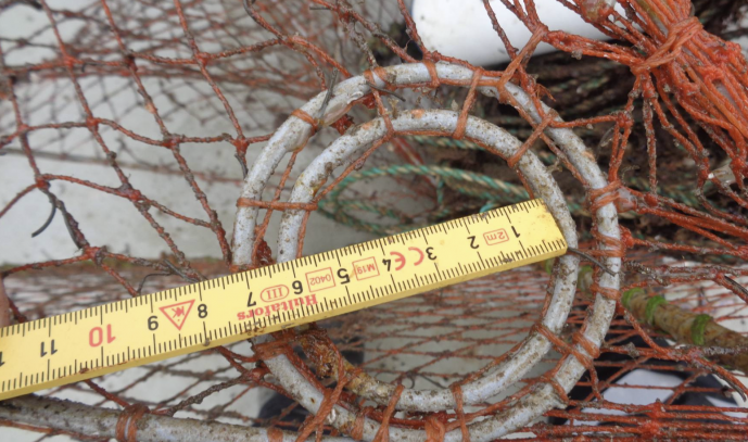 Krabbeteiner. Foto: Sør-Vest politidistrikt