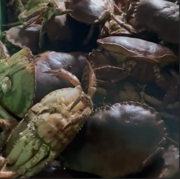 Krabber: Skjermdump- Facebook