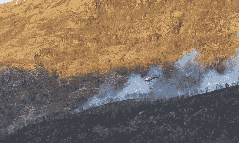 Skogbrann Bergen 2023. Foto: Nyhetsformidlingen for Vestland og Rogaland.