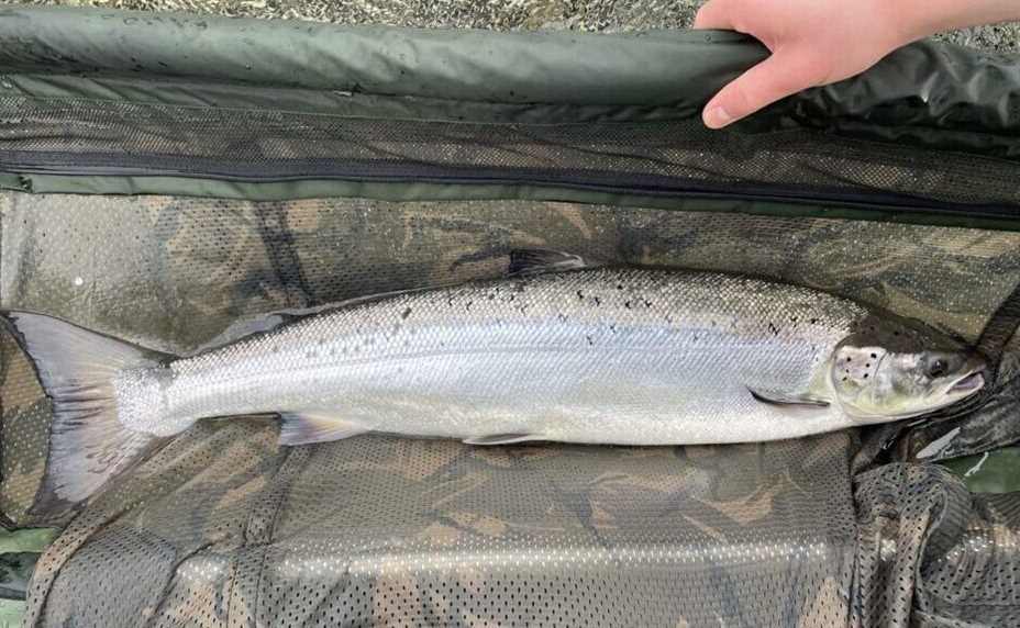 Foto: Harald Kambo Hersvik / HI