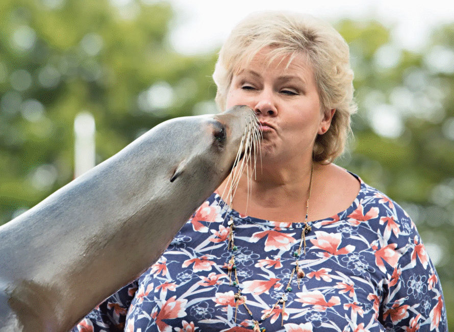sjøløven Kim er død Foto: Hommedal, Marit / NTB scanpix