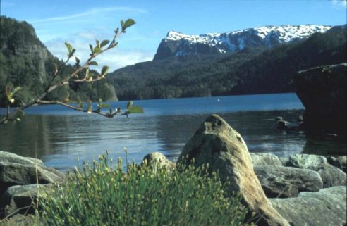 Vevatnet, Tysnes. Foto: Tysnes kommune