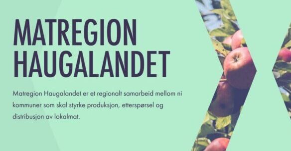 Illustrasjon: Haugaland Vekst