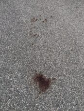 Voldshendelse Rossabø. Bilder viser bodflekk på åstedet. Foto: Privat.