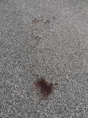 Voldshendelse Rossabø. Bilder viser bodflekk på åstedet. Foto: Privat.