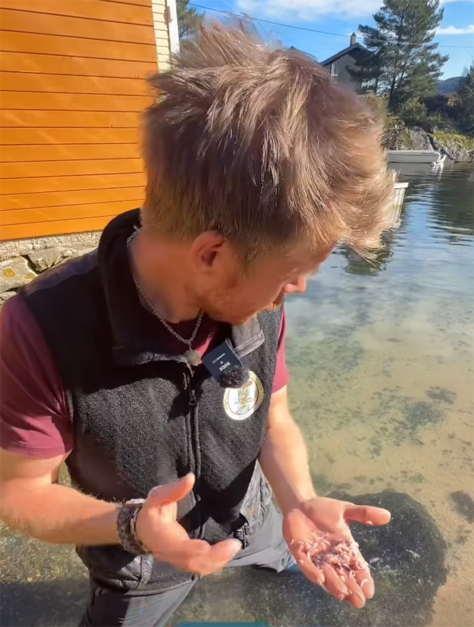 Leder av Norges Miljøvernforbund, Ruben Oddekalv. Skjermdump: TikTok.